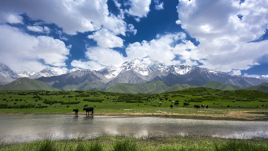 倍头条 | 一周内尊龙凯z6mg官网乐成竞得两处铜矿！