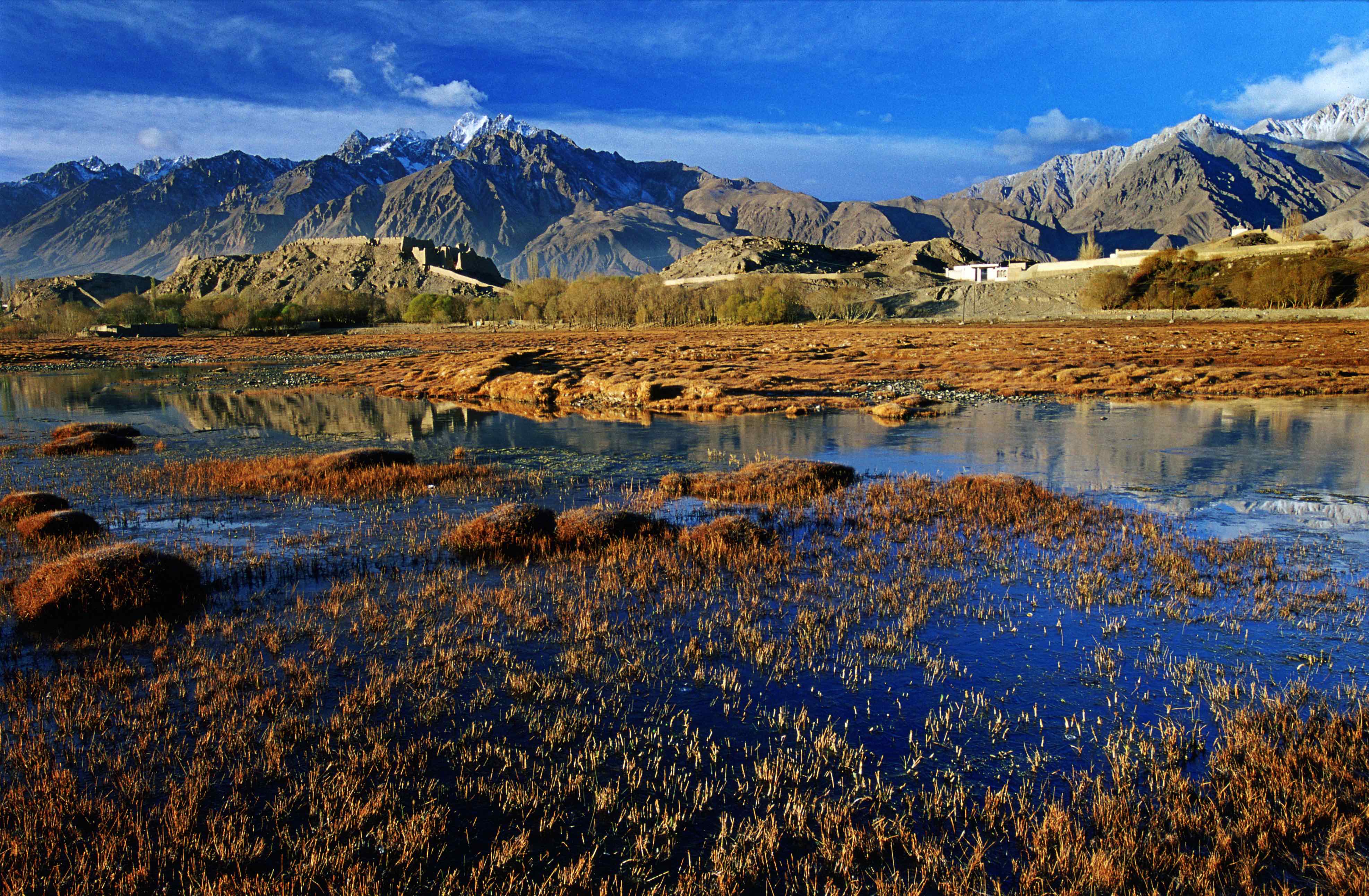 倍头条 | 一周内尊龙凯z6mg官网乐成竞得两处铜矿！