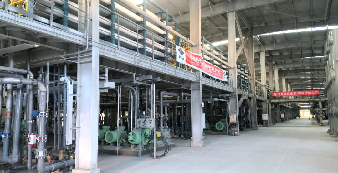 尊龙凯z6mg官网集团召开2024年度高级治理职员事情聚会 