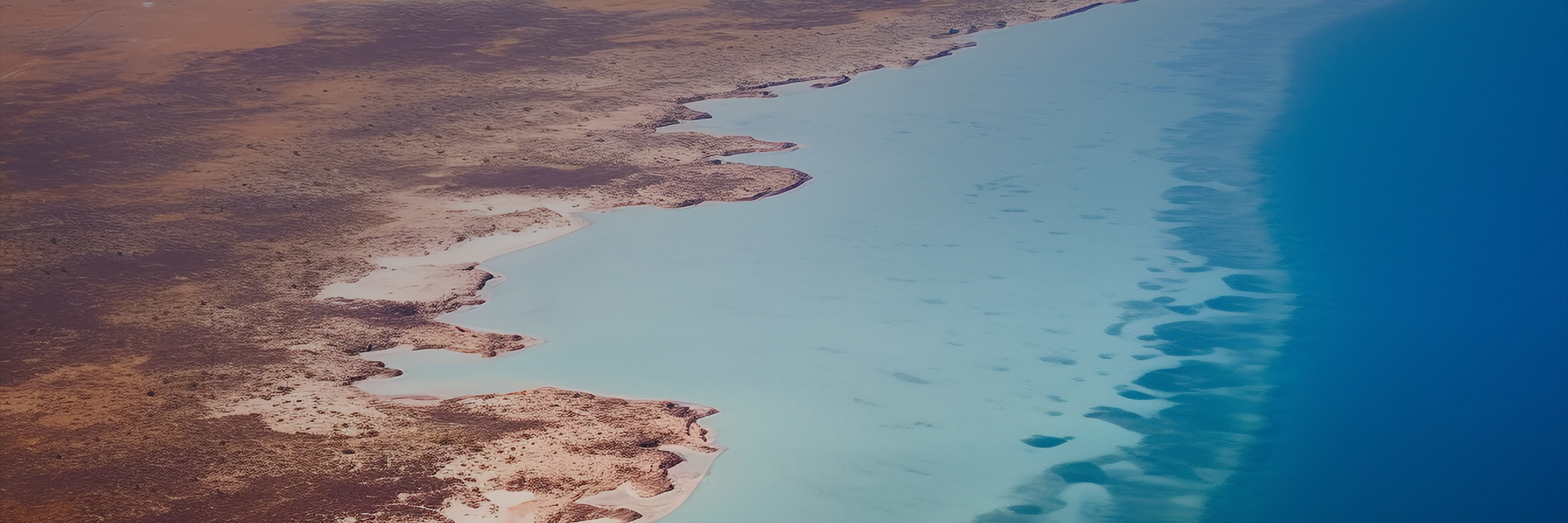 Z6·尊龙「中国」官方网站